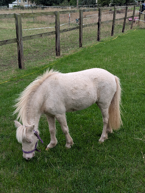 Monty in the field